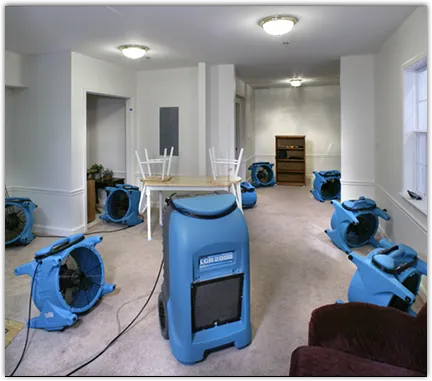 Water Mitigation Services in Neptune, NJ
