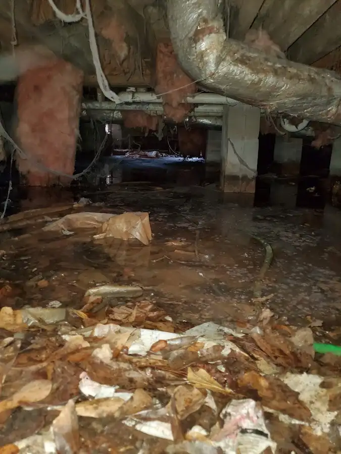 Crawl space flood assessment for Commercial Water Damage Restoration in Neptune